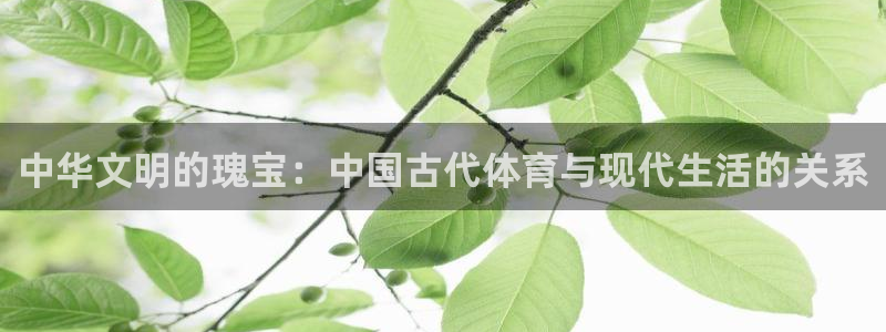  九游APP骗了好多钱：中华文明的瑰宝：中国古代体育与现代生活
