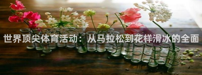  九游游戏app官方正版：世界顶尖体育活动：从马拉松到花样滑冰