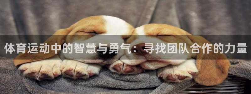  九游游戏app官网：体育运动中的智慧与勇气：寻找团队合作的力
