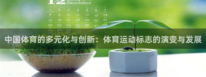 九游奶块电脑版怎么下载：中国体育的多