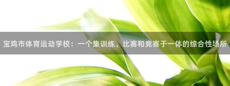 九游官网开测：宝鸡市体育运动学校：一个集训练、比赛和竞赛于一