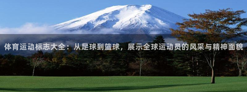 九游登陆不了：体育运动标志大全：从足球到篮球，展示全球运动员