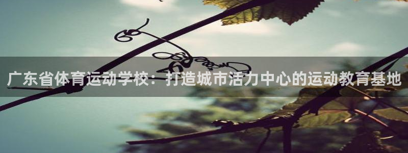  九游偶像梦幻祭：广东省体育运动学校：打造城市活力中心的运动教