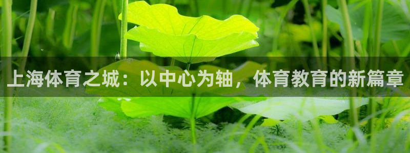 九游COC：上海体育之城：以中心为轴