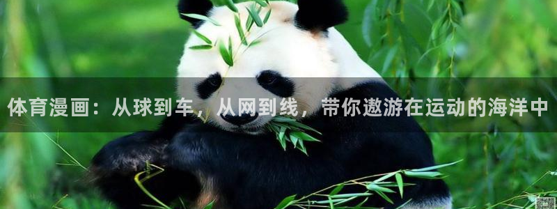 九游会老哥俱乐部论坛：体育漫画：从球