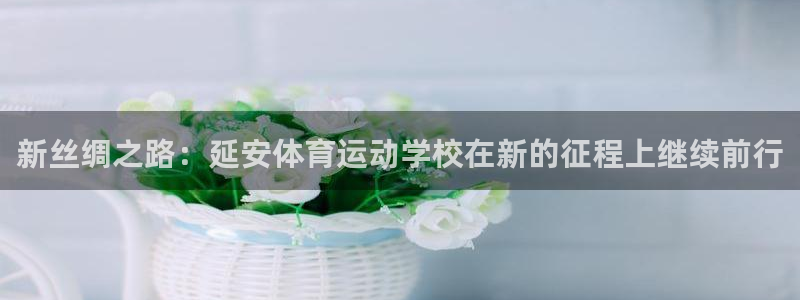 九游app三国战略版下载：新丝绸之路