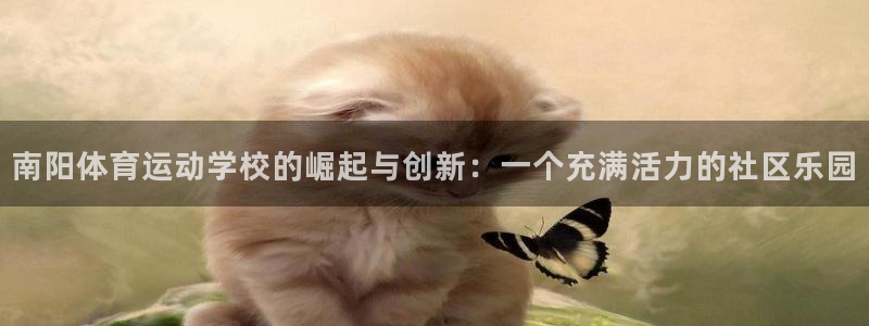 j9九游会入口：南阳体育运动学校的崛