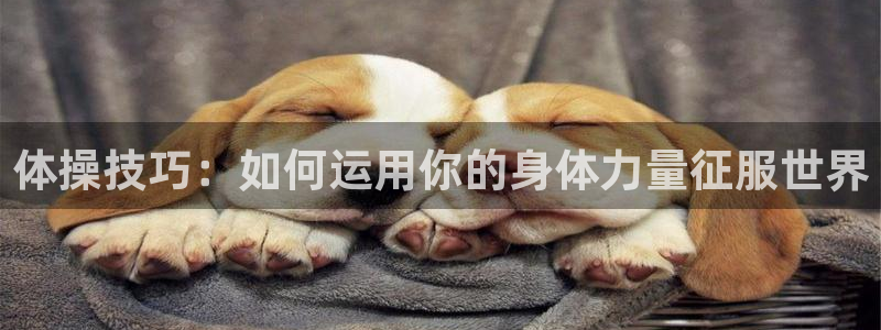  九游app客服充错钱钱包被锁了：体操技巧：如何运用你的身体力